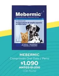 Gato - Comprimido Oral Gato / Perro