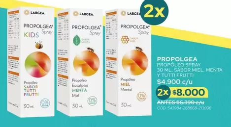 Provolgea