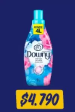 Downy - KitchenAre Dolby Dog Food