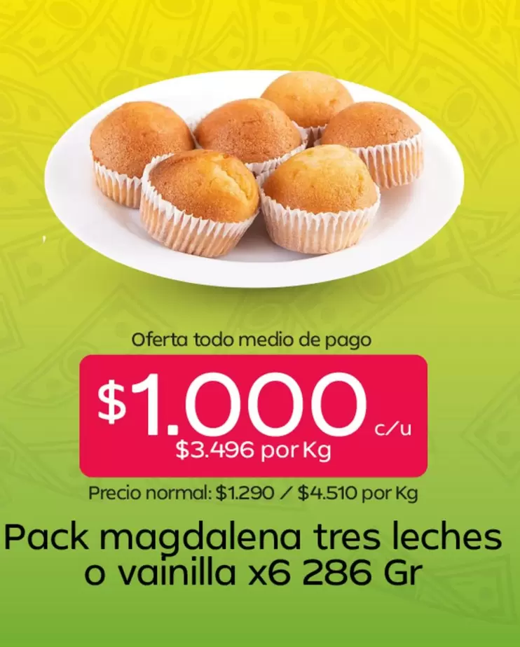 Pack Magdalena Tres Leches O Vainilla
