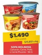 Sopa Molinova