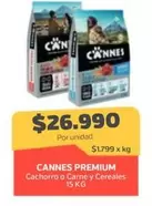 Cannes - Cachorro Y Cereales