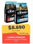 Cannes - Premium