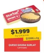 Surlat - Queso Gouda