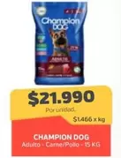 Champion Dog -