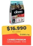Cannes -  Premium