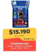 Champion Dog -
