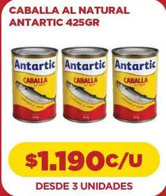 Antartic - Caballa Al Natural