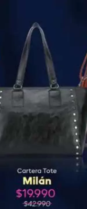 Cartera Tote