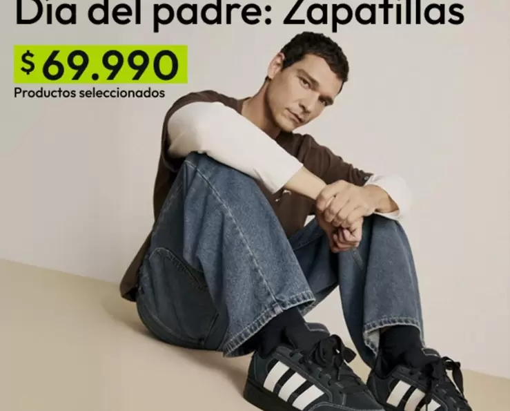 Dia Del Padre: Zapatillas