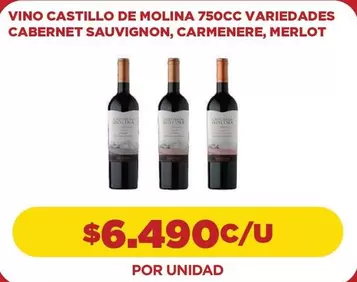 Carmenere - Vino Castillo De Molina