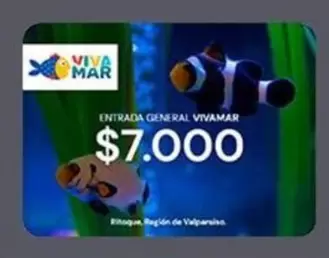 Entrada General Vivamar