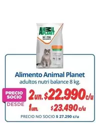 Balance  - Alimento Animal Planet