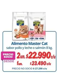 Master Cat - Alimento