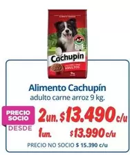 Cachupin - Alimento