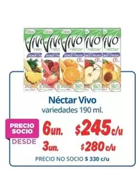 Vivo - Nectar