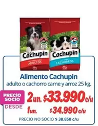 Cachupin - Alimento