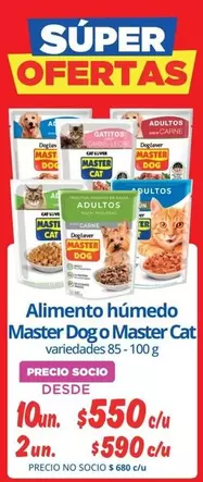 Cat - Alimento Húmedo Master Dog O Master