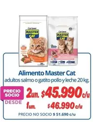 Master Cat - Alimento