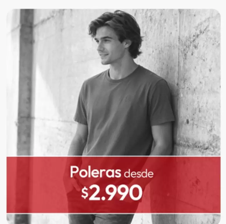 Poleras Desde