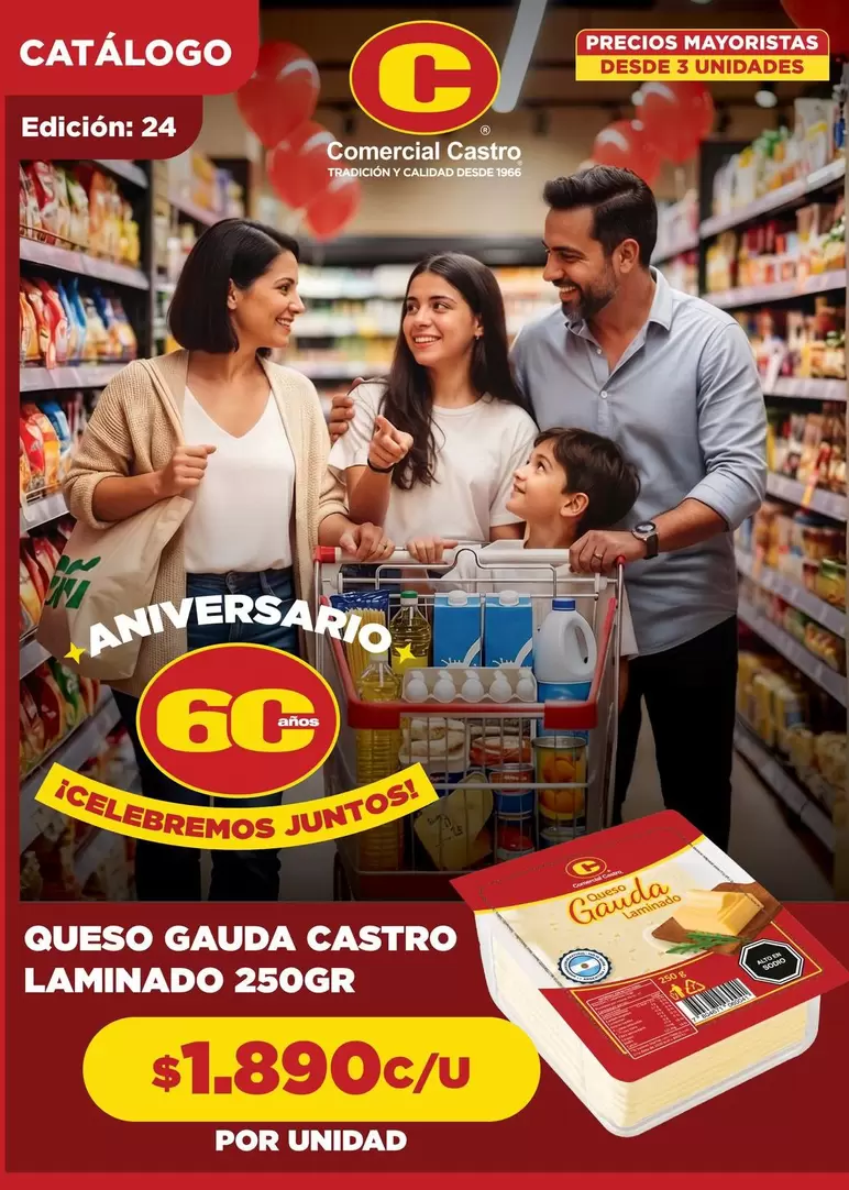 Queso Gauda Castro Laminado