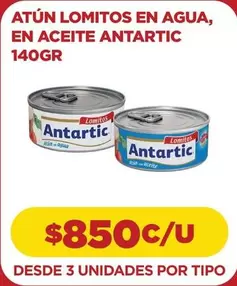 Antartic - Atun En Aceite