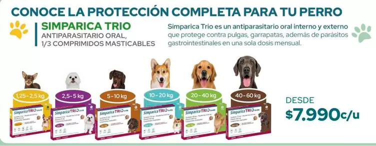 Trio - Conoce La Protección Completa Para Tu Perro