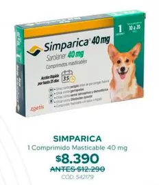 1 Comprimido Masticable 40 Mg