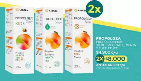 Provolgea