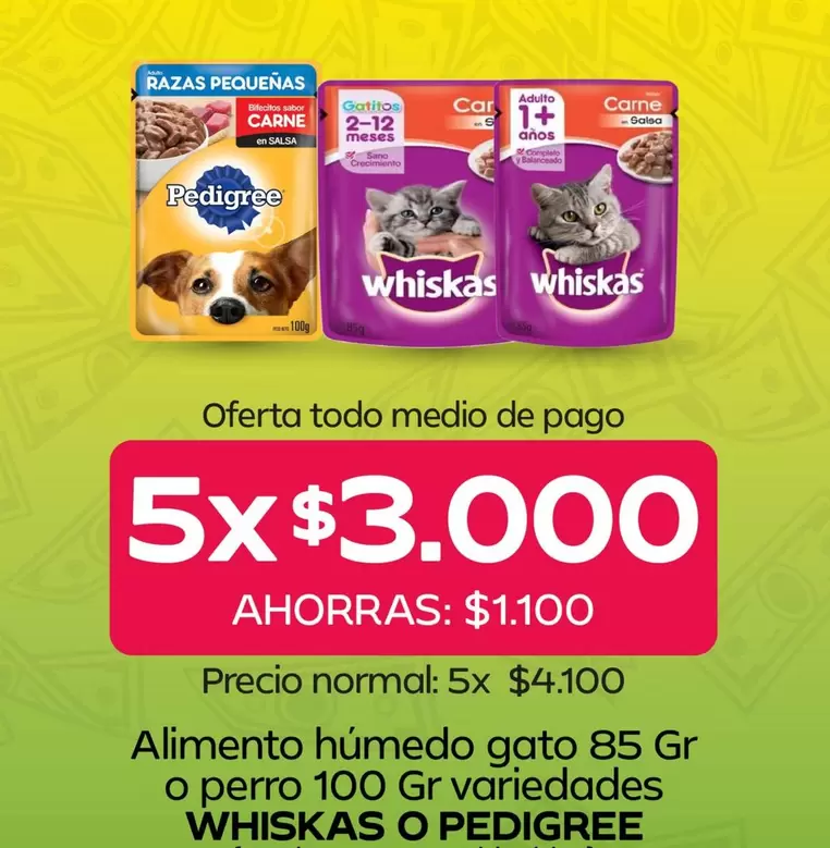 Whiskas - Alimento Húmedo Gato 85 Gr O Perro 100 Gr Variedades