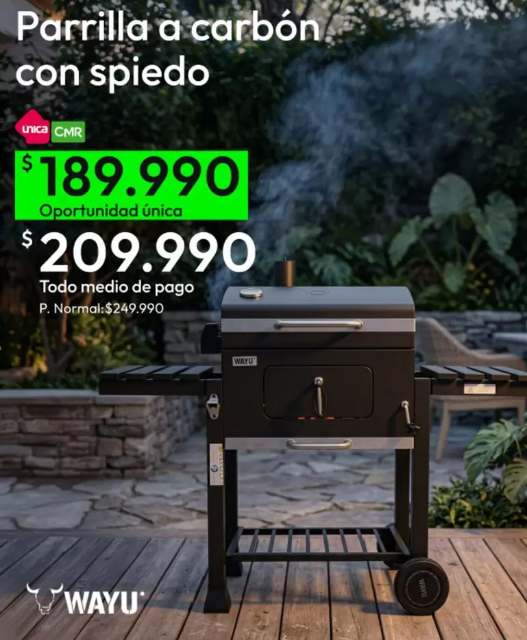 Parrilla A Carbon Con Spiedo