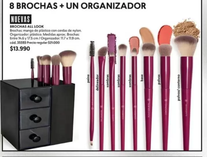 8 Brochas + Un Organizador