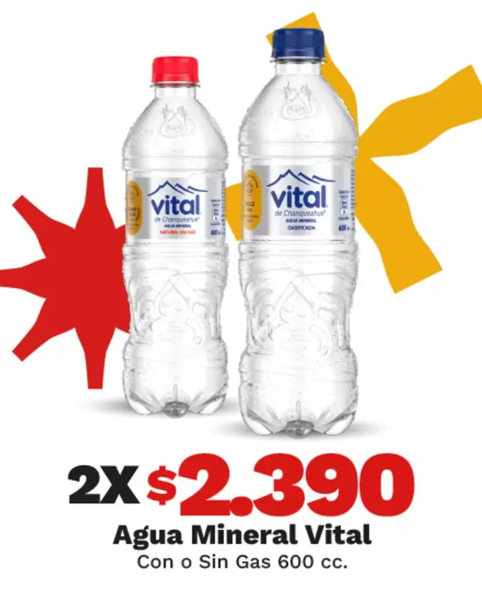 Vital - Agua Mineral