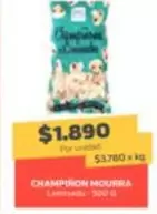 Champinon Mmufra