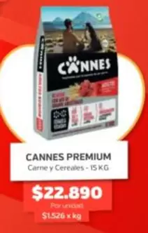 Cannes -  Premium