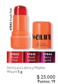 Stick Para Labios Y Mejillas