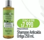 Shampoo Anticaida Ortiga