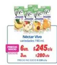 Vivo - Nectar
