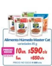 Cat - Alimento Humedo Master