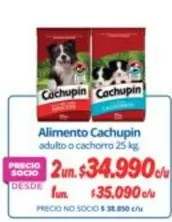 Cachupin - Alimento