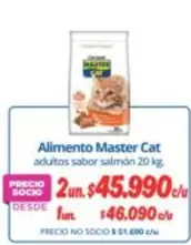 Master Cat - Alimento