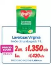 Virginia - Lavalozas