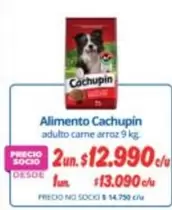 Cachupin - Alimento