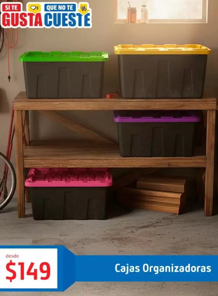 Cajas Organizadoras