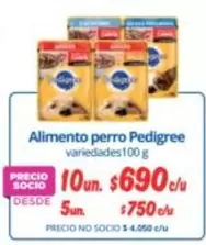 Pedigree - Alimento Perro