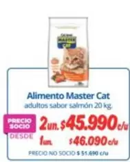 Master Cat - Alimento
