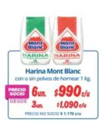 Mont Blanc - Harina Blanc