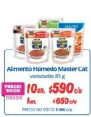 Purina - Alimento Humedo Master Cat