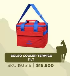 Bolso Cooler Termico