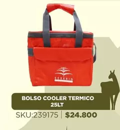 Bolso Cooler Termico